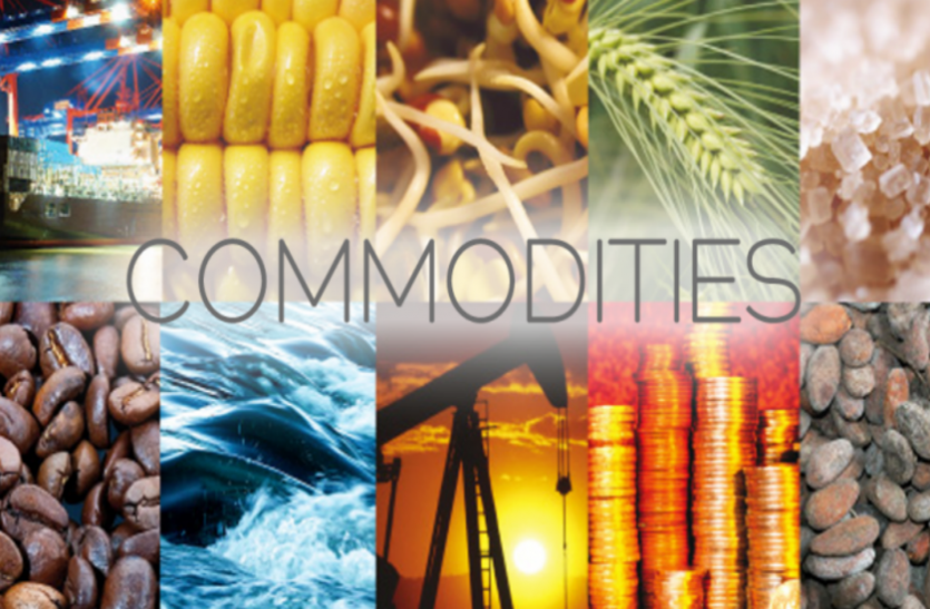 commodities CPAI ने डेरिवेटिव मार्केट पर खास इवेंट का किया आयोजन, इन बातों पर की चर्चा