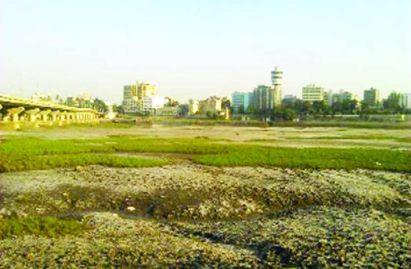 Dumpers will now remove irrigation department टीले-टेकरियों को अब सिंचाई विभाग हटाएगा