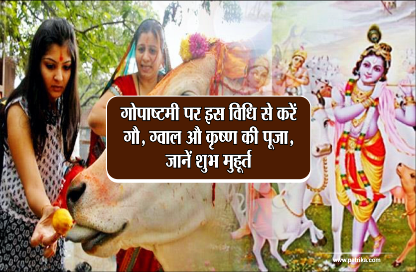 gopashtami 2018 Gopashtami 2018: गोपाष्टमी पर इस विधि से करें गौ, ग्वाल औ कृष्ण की पूजा, जानें शुभ मुहूर्त