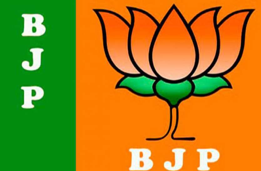 bjp Rajasthan Election: भाजपा की दूसरी लिस्ट 8 करोड़पति और 1 पर आपराधिक केस
