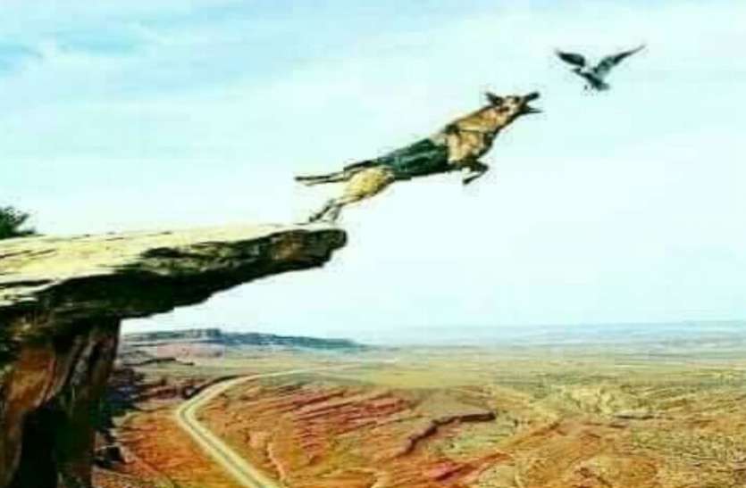 dog ये तस्वीर हमें सिखा रही है सात बातें, इन्हें जानकर अचरज में पड़ जाएंगे