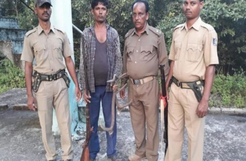 hunter चार हाथियों को मारने वाला शिकारी गिरफ्तार, पुलिस की ओर से पूछताछ जारी
