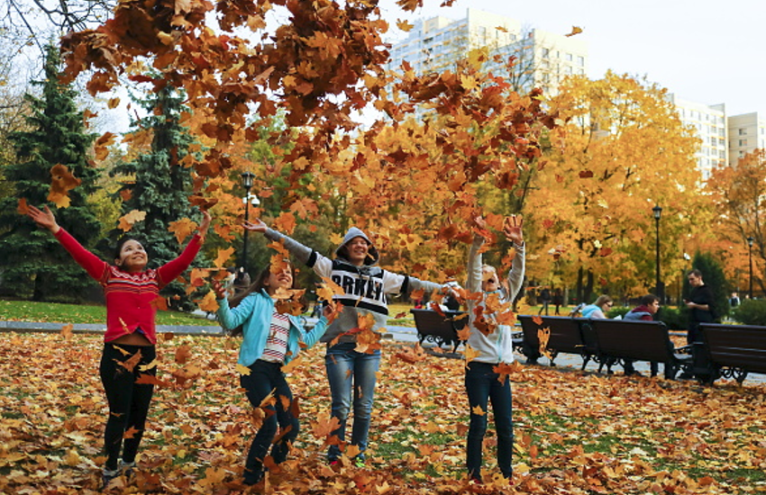 Playing In The Park Is Beneficial For Children बच च क ल ए फ यद म द ह त ह प र क म ख लन Patrika News