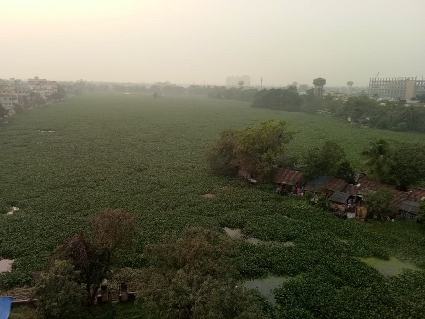 kolkata विदेशी पक्षियों ने मोड़ा सांतरागाछी झील से मुंह