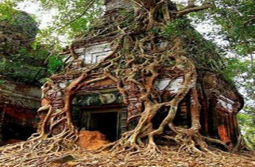 jagrameshwar shiv mandir पेड़ के तने में स्थापित 300 साल पुराना अनोखा शिव मंदिर, इसे देख वैज्ञानिक भी हैं हैरान
