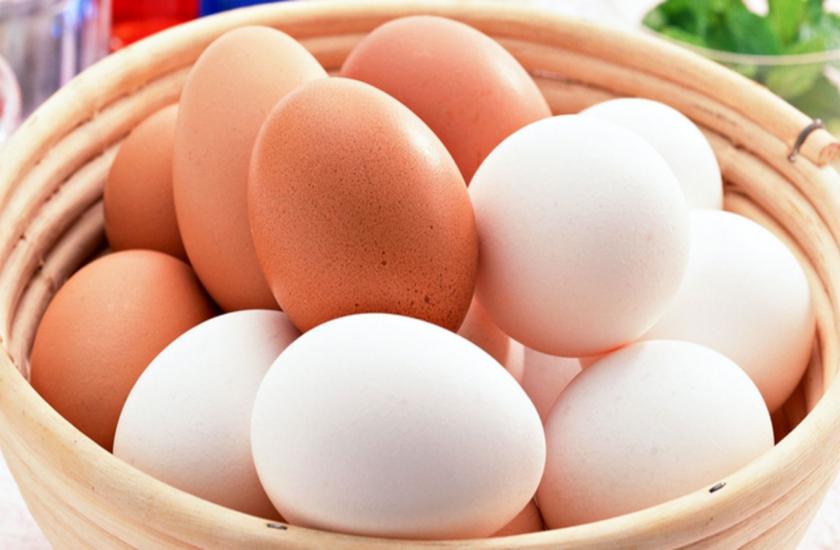 What Is The Major Difference Between White And Red Colour Egg अ ड क ल कर आज तक इस भ रम म ज रह ह हम व ज ञ न क न क य ख ल स तब ल ग क आय