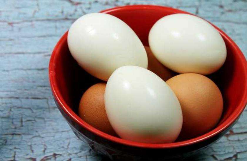 What Is The Major Difference Between White And Red Colour Egg अ ड क ल कर आज तक इस भ रम म ज रह ह हम व ज ञ न क न क य ख ल स तब ल ग क आय