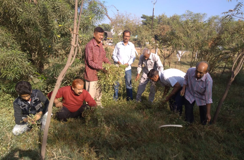 patrika यह कौन है जो मनुष्य के लिए खुद पीता है जहरीली गैस