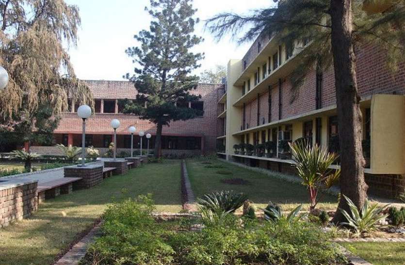 Miranda House College दिल्ली यूनिवर्सिटी ने विभिन्न पदों के लिए निकाली भर्ती, ऐसे करें अप्लाई