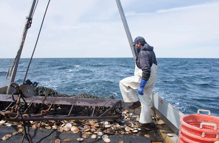 Italy MP meets navy man accused of murdering indian fishermen इटली: भारतीय मछुआरों की गोली मारकर हत्या करने वाले नौसैनिकों से मिले सांसद