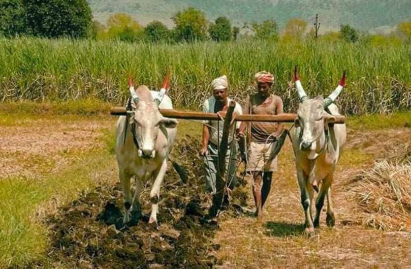 Agriculture policy भारत की पहली कृषि निर्यात नीति को मंत्रिमंडल की मंजूरी, किसानों की आय दोगुनी करने का दावा