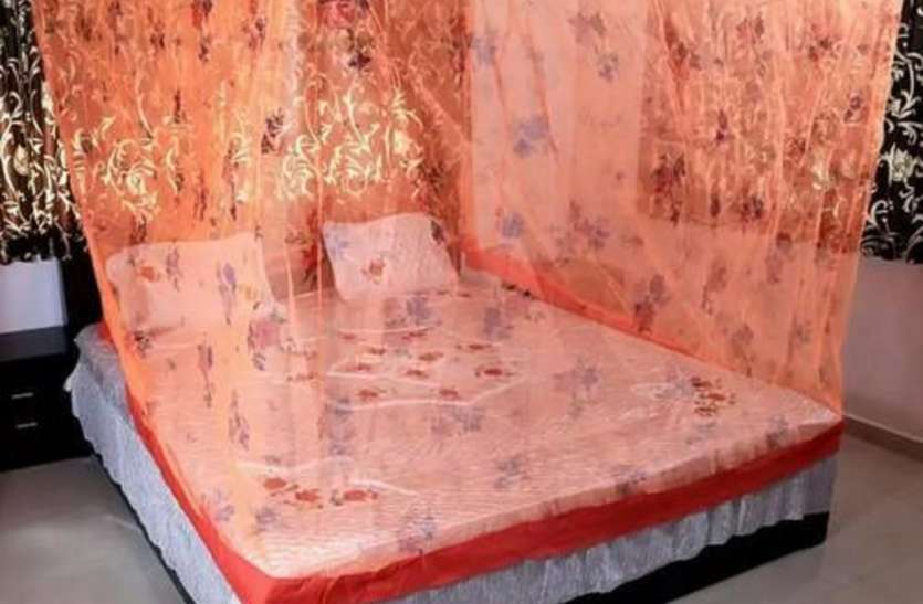 Quality test of mosquito donors coming from Bhopal, team took Chennai team भोपाल से आई मच्छर दानियों की जांचा क्वालिटी, चेन्नई की टीम ले गई सेम्पल