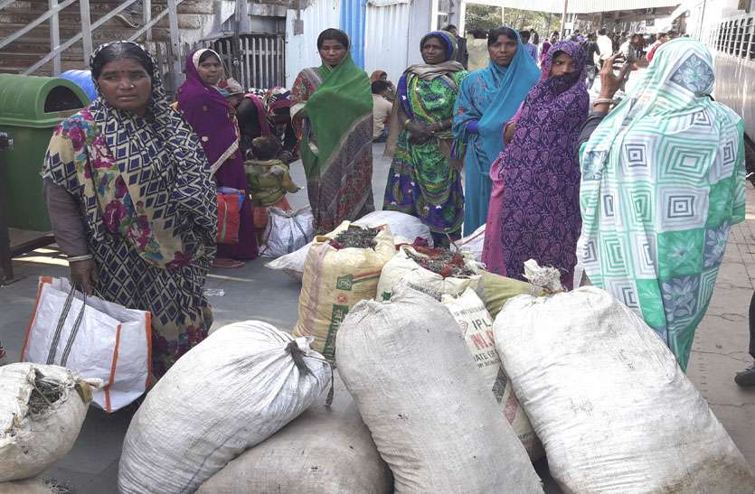 NEWS घास-फूस बेचकर परिवार का पेट पाल रहीं आदिवासी महिलाएं