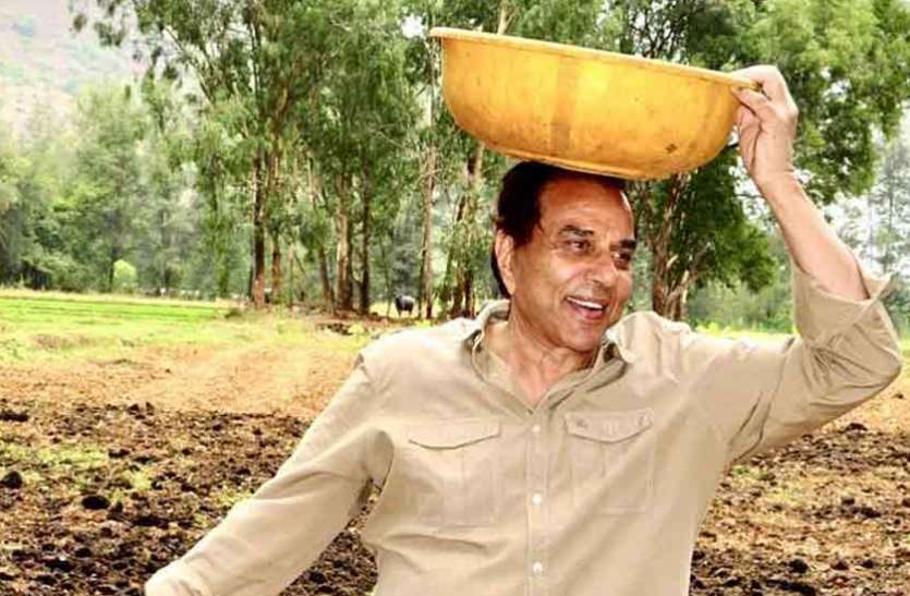 Dharmendra Is Doing Organic Farming - बॉलीवुड छोड़ धर्मेंद्र बने किसान, उगा  रहे हैं खेतों में गोभी और प्याज | Patrika News