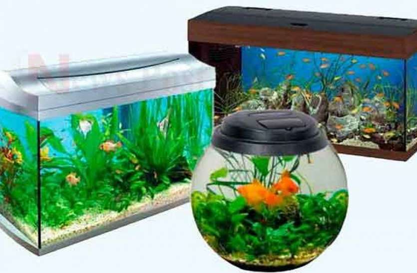 Hightech Aquarium, Celebrating the Sweet Home स्वीट्स होम की शोभा बढ़ा रहे हाइटेक एक्वेरियम