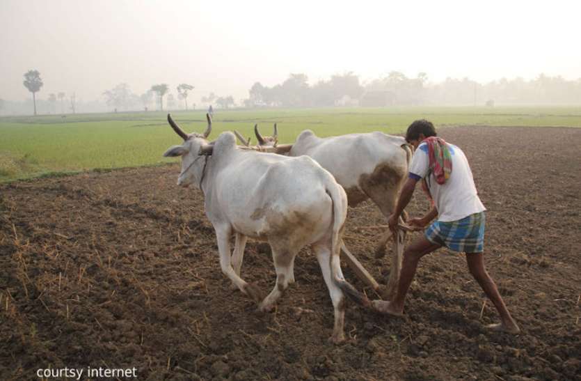 MP LETEST KISAAN KARJAMAAF NEEMUCH NEWS IN HINDI MP प्रदेश में कांग्रेस की सरकार बनते ही किसानों को पकड़ाया 'झुनझुना'
