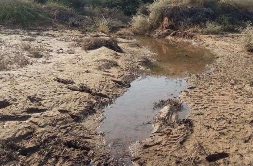 Narmda Overflow water बंद नहीं हो रहा नहर का ओवरफ्लो, पानी से बर्बाद हो रही किसानों की फसल