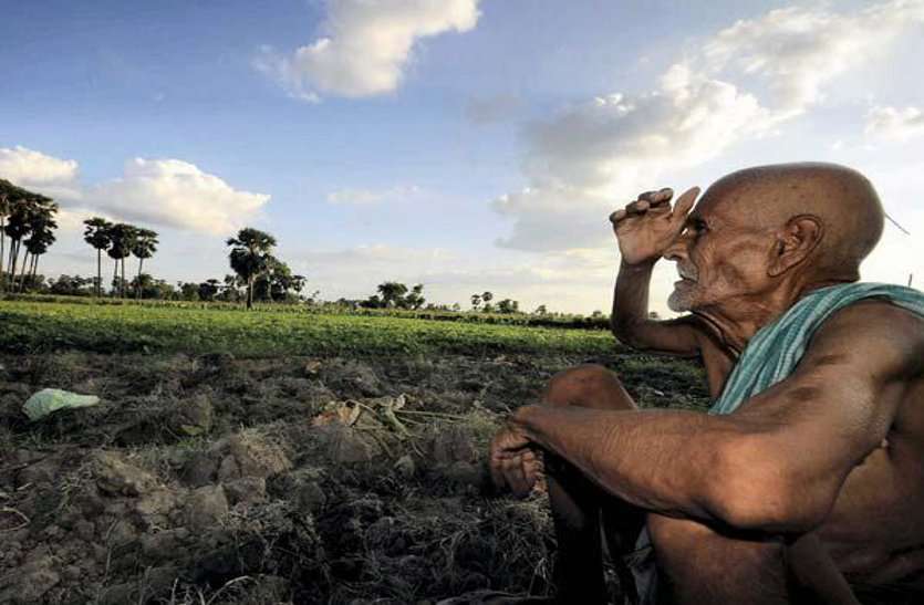 bhind kisan ka hoga karz maaf किसानों की कर्ज माफी से भिण्ड जिले के 50 हजार किसानों को होगा लाभ