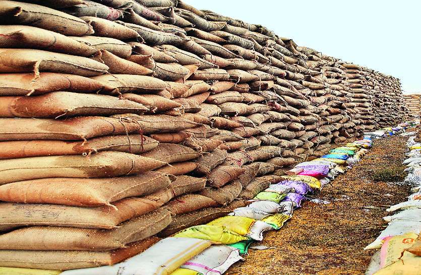 paddy सीएम की कर्जमाफी घोषणा से जिले के 1 लाख से अधिक किसान होंगे लाभान्वित