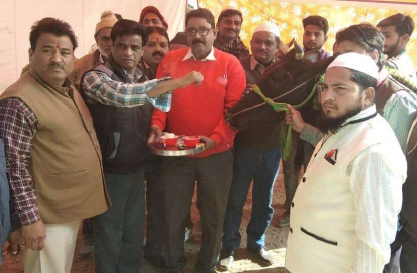saharanpur news यूपी के सहारनपुर में हिंदू और मुस्लिम व्यापारियों ने गाय को तिलक लगाकर लिया गौ-रक्षा का संकल्प