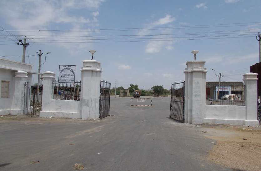 कृषि उपज मंडी में बढ़ी आवक सर्दी आते ही मोटे अनाज की बढ़ी मांग