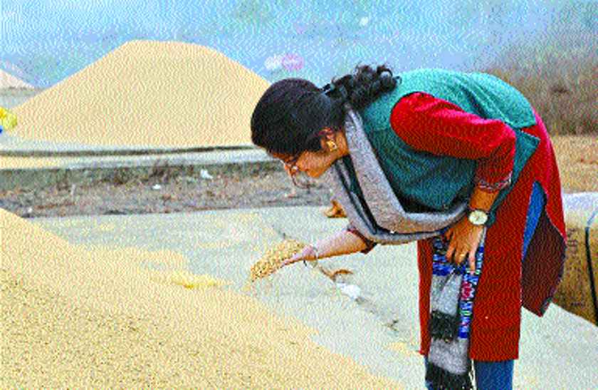 sihora majholi paddy centers inspection collector धान खरीदी केंद्रों में करें तिरपाल के इंतजाम