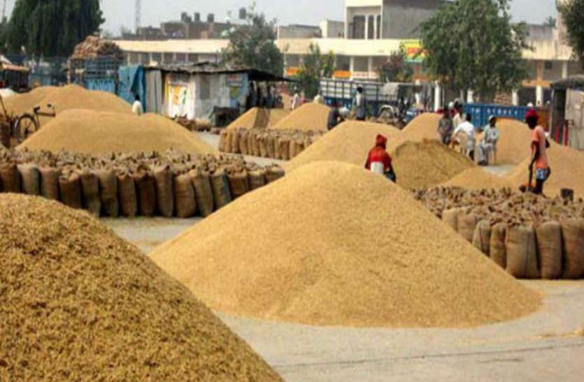 There is no debt relief for thousands farmers हजारों किसानों की नहीं हुई कर्जमाफी, निराश हैं किसान