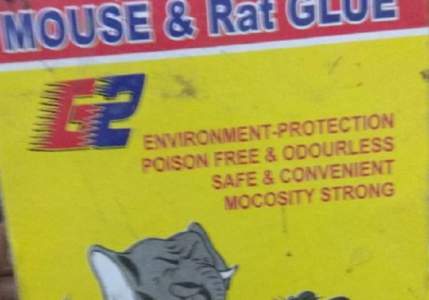 Rat Glue