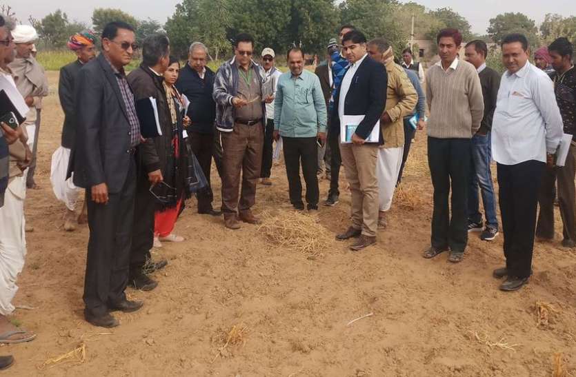 jalore#imct#jodhpur किसान बोले: जलस्तर पैंदे बैठ गया, हालत बेहद खराब है