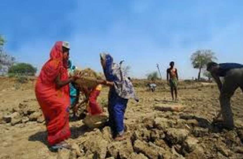 kolkata 100 दिन के रोजगार में 27 लाख का भ्रष्टाचार