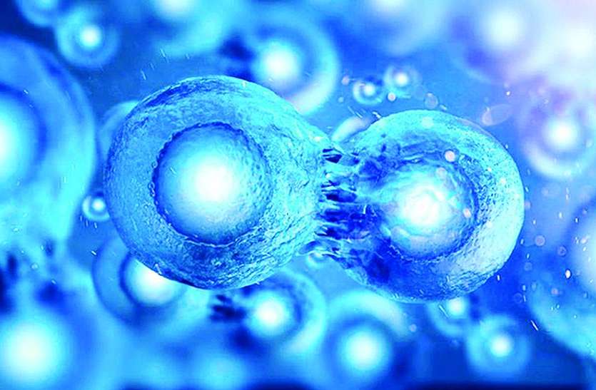 Stem cells filled in marriage form to donate शादी में भरे गए स्टेम सेल डोनेट करने के फार्म