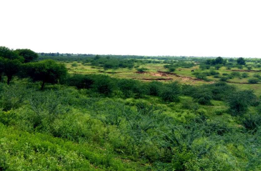 bagoliya mavli नई सरकार से मावली वालों की उम्मीदें बागोलिया बांध को भरे