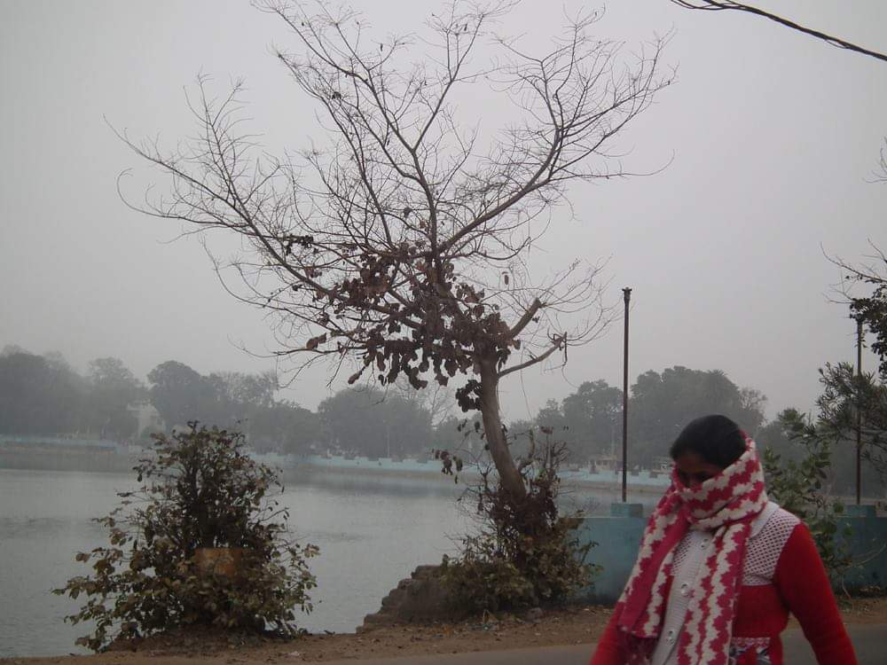 Mercury in Kampa district, Khajuraho, came down to 1.4 degree by the cold wave शीत लहर से कांपा जिला, खजुराहो में पारा 1.4 डिग्री पर आया