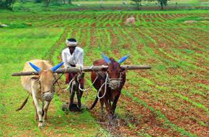 farmers किसान कर्ज माफी का टारगेट पूरा करने में कृषि विभाग का छूटा पसीना