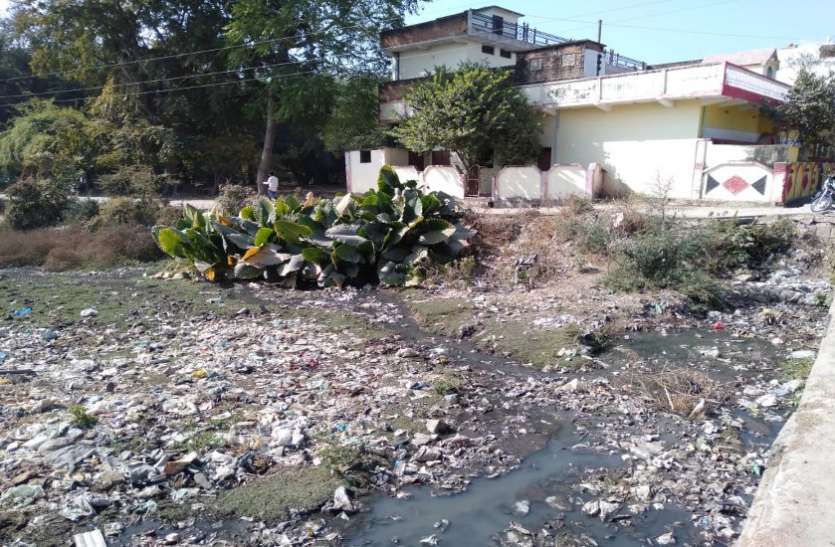Cleanliness campaign ऐसी गंदगी के बीच कैसे हो स्वच्छता का सपना पूरा