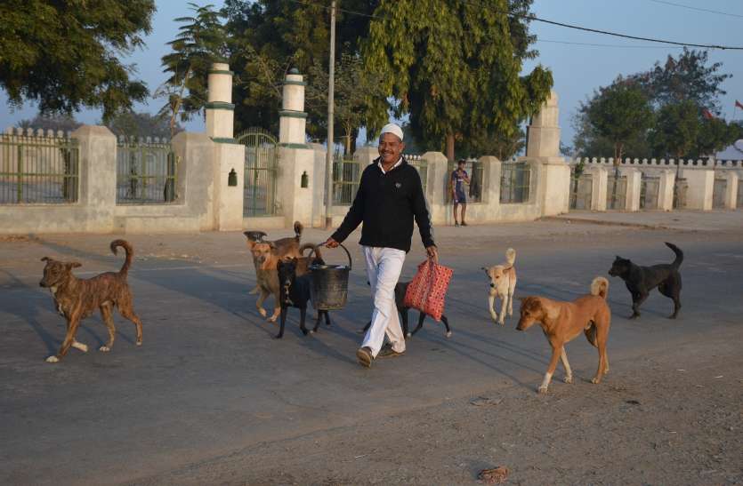 सूर्य उदय होते ही बाल्टी, थैला लेकर निकलता है तो पीछे लग जाते हैं मूक प्राणी समझ जाते हैं कि सुबह का नाश्ता लेकर आ रहा है उनका मददगार