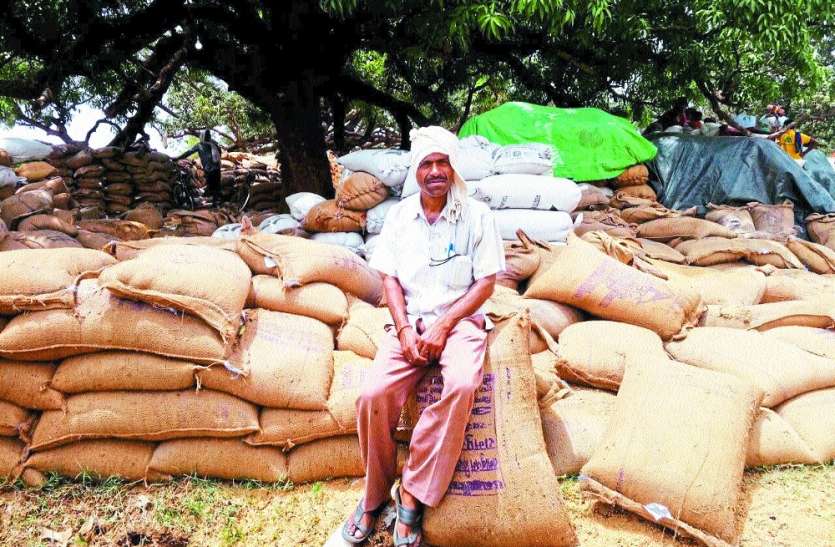 Illegal recovery of 6 crore every year from madhya pradesh farmers मध्यप्रदेश के खरीदी केंद्रों में किसानों से हर साल 6 करोड़ की अवैध वसूली, जिला प्रशासन अनजान