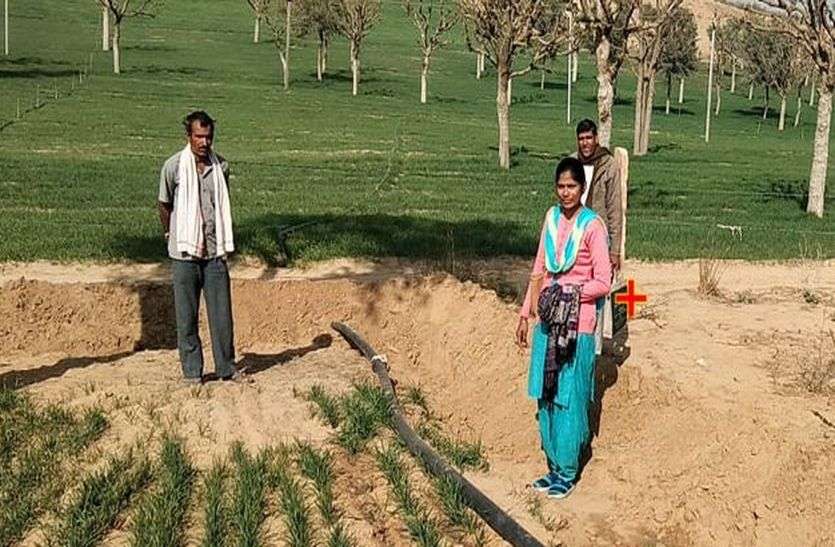 churu farms house news अपने ब्रांड का जैविक गेहूं-बाजरा बेचेंगे अब किसान
