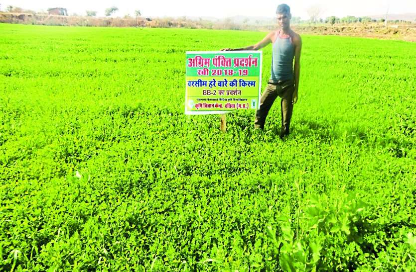 karz mafi yojna process in mp नई सरकार की घोषणा के बाद गफलत में योजना, नई सूची में उलझ रही कर्जमाफी