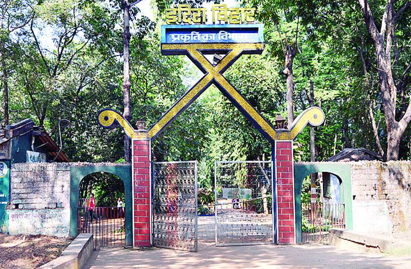अब इंदिरा विहार को सिटी फारेस्ट के रूप में किया जाएगा विकसित, सीसीएफ अरुण पांडेय ने अधिकारियों को दिए ये निर्देश अब इंदिरा विहार को सिटी फारेस्ट के रूप में किया जाएगा विकसित, सीसीएफ अरुण पांडेय ने अधिकारियों को दिए ये निर्देश