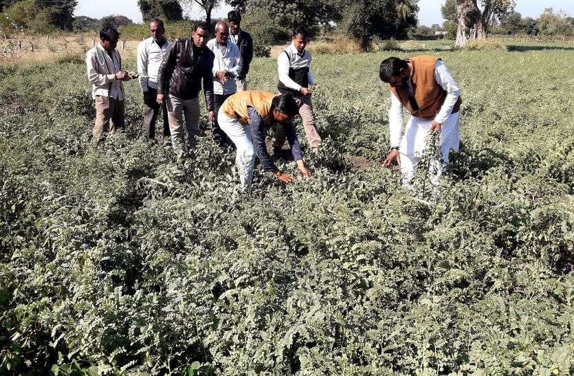 patrika सर्दी का रिकार्ड टूटा...पारा 5.1 डिग्री, अभी इस शहर में राहत नहीं