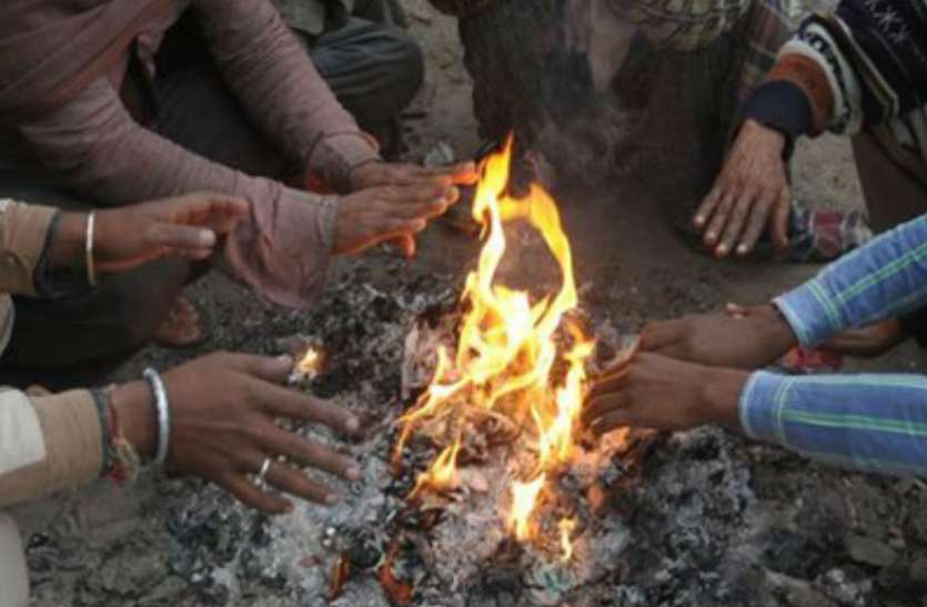 temperature राजधानी भोपाल समेत शीतलहर की चपेट में 25 से ज्यादा शहर, पचमढ़ी में माइनस 2 डिग्री पहुंचा पारा