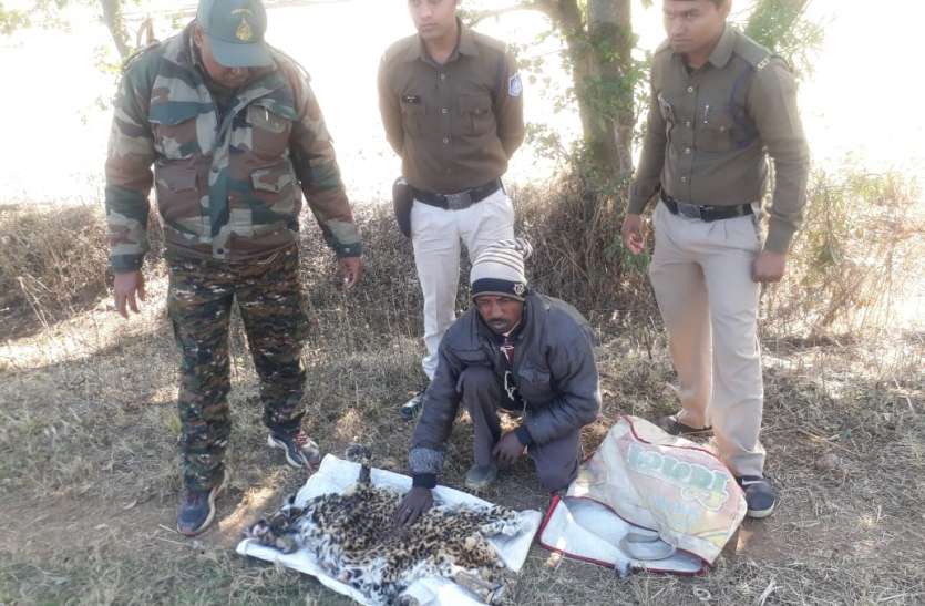 Millions of skins found by the young man युवक के पास मिली लाखों की खाल
