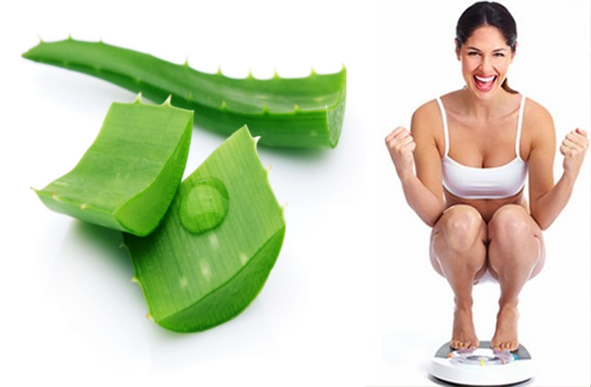 aloe-vera-beneficial-to-reduce-obesity मोटापा कम करने के लिए जान लें ये खास नुस्खे
