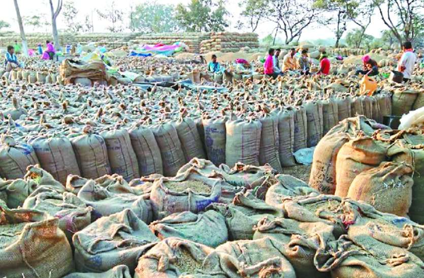 paddy crop सरपंच ने की कलक्टोरेट में शिकायत, उठाव कार्य नहीं होने से खरीदी केंद्रों में धान जाम