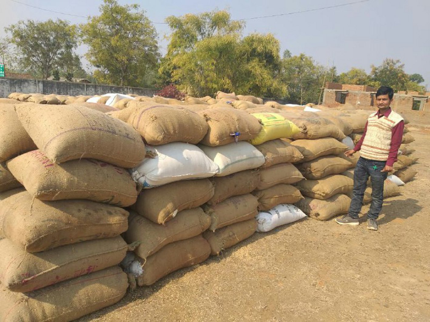 Due to the rights of farmers, middlemen किसानों के हक पर डाका, बिचौलिए बेंच रहे धान