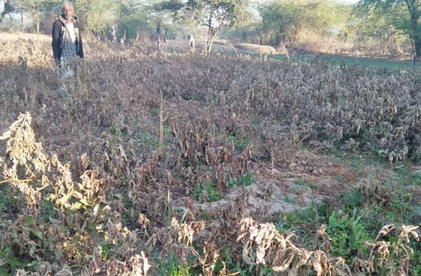 Rajsamand news,Rajsamand Hindi news,Rajsamand local news,rajsamand latest news,rajsamand latest hindi news, कैसे हो किसानों का कल्याण, योजनाएं बताने वाले ही नहीं