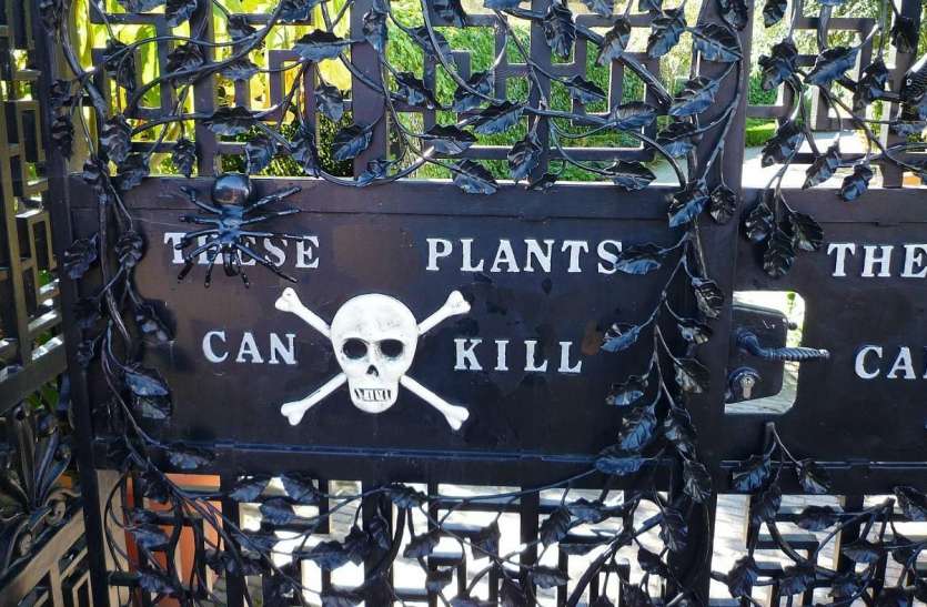 Alnwick Poison Garden यहां घूमने के लिए गाइड लेना है जरुरी, नहीं तो किसी भी पल जा सकती है जान