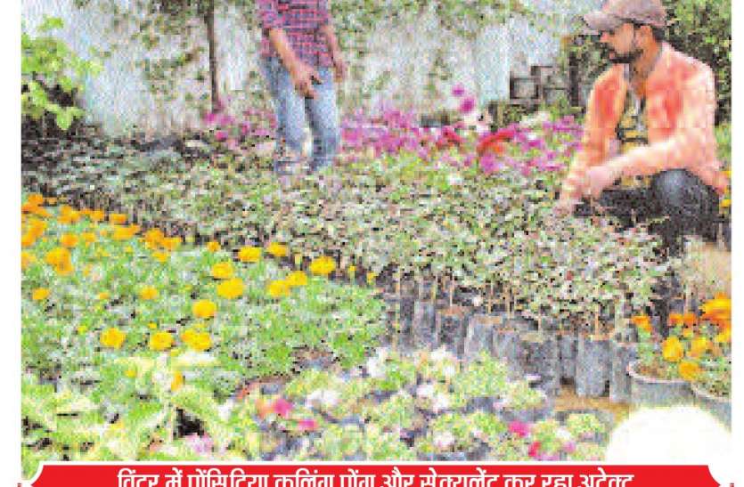 garden and nursery घर से लेकर गार्डन और नर्सरी तक महक रही
