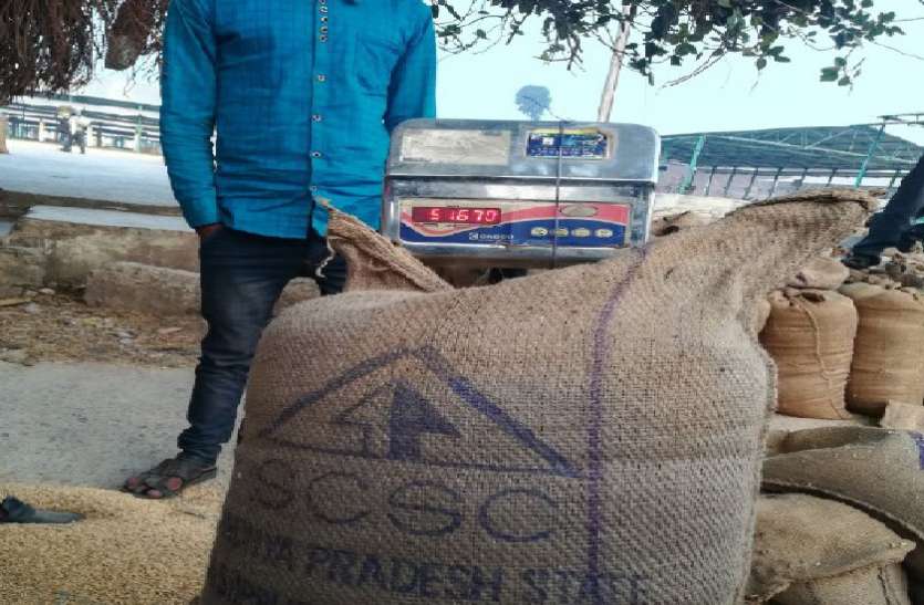 dhan kharidi धान खरीदी समाप्त होने के डेढ़ माह बाद भी 24 किसानों को 52 लाख रुपये का भुगतान नहीं